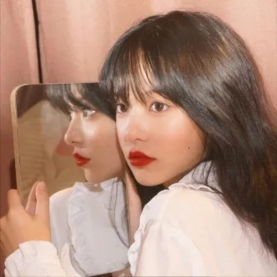 山上的松树